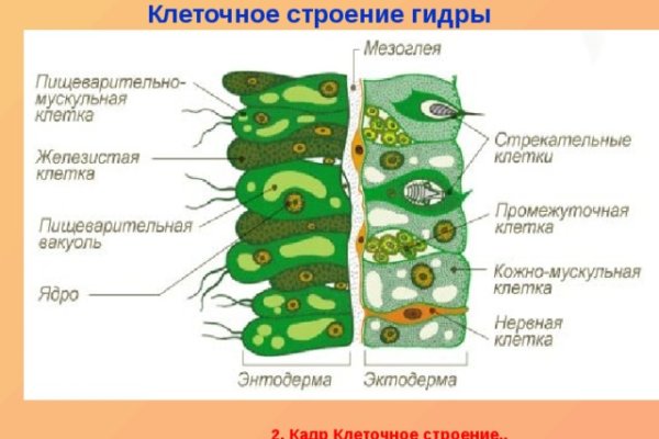 Кракен сайт ссылка kraken clear com