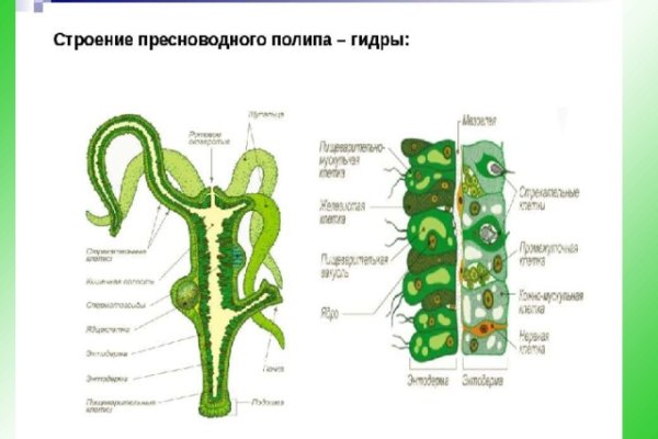 Кракен даркмаркет плейс официальный сайт