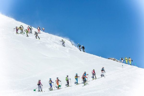 Ссылка на кракен в тор