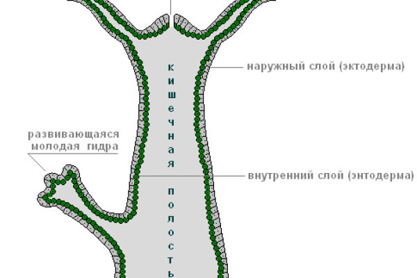 Ссылка адрес на кракен тор