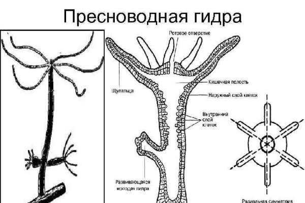 Кракен даркмаркет плейс официальный сайт